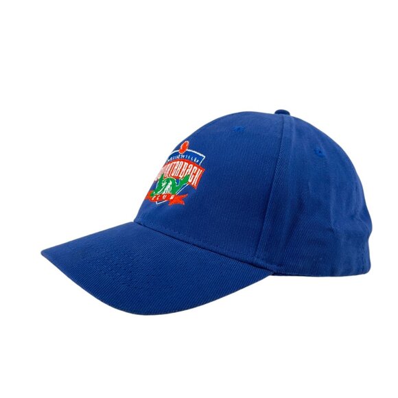 Vintage Anvil Gainesville Quarterback Club Strapback Cap Embroidred UF Gators - Picture 3 of 13